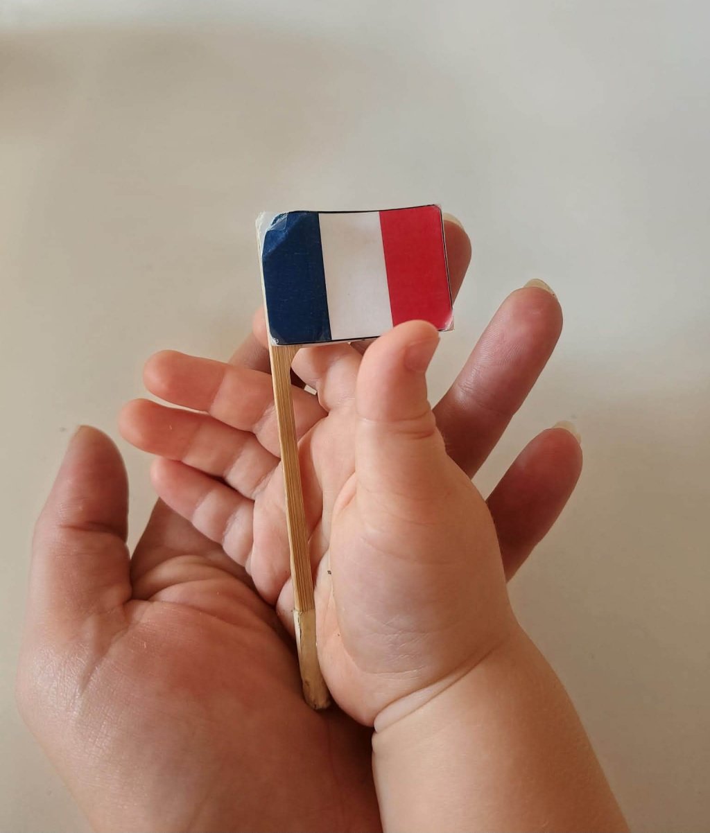 Mano di adulto tiene in palmo piccola bandiera francese su bastonetto