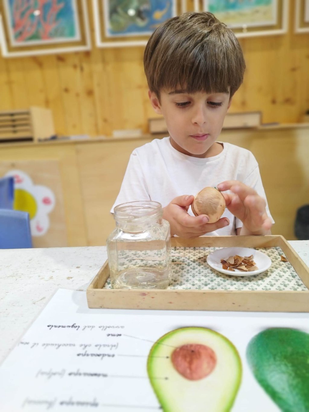 Un bambino esamina un avocado in una classe con tavoli e illustrazioni di frutta