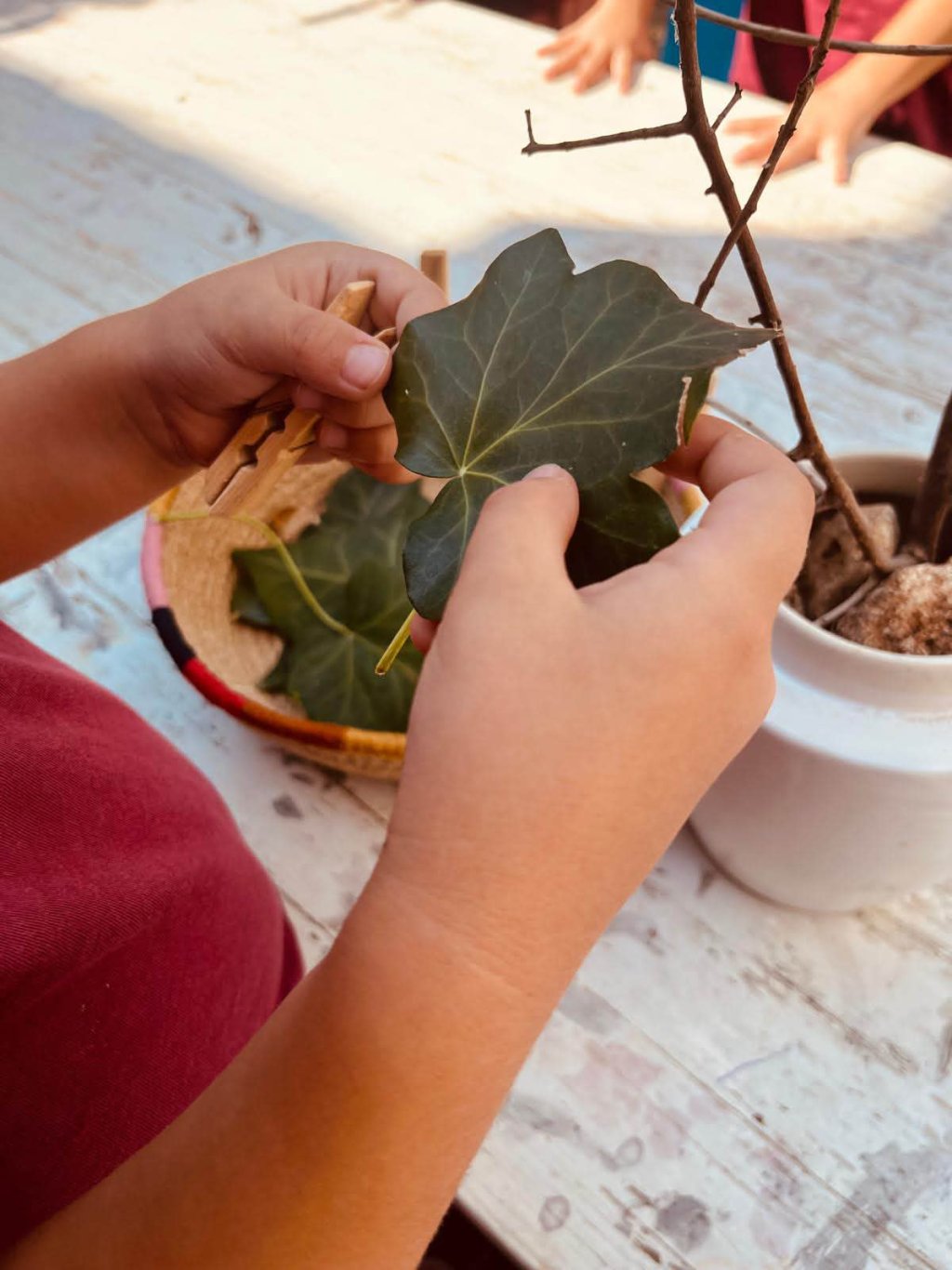 Mani di bambino tengono una foglia verde su un ramo