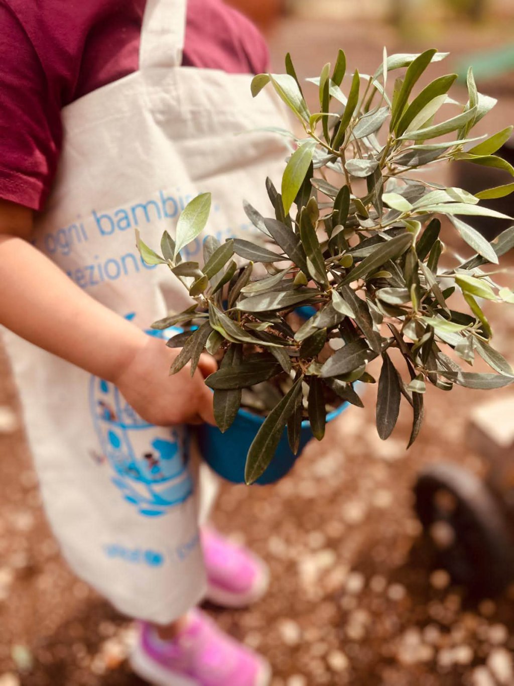Una persona tiene in mano un piccolo albero in vaso, indossa un sacchetto con scritta e scarpe colorate