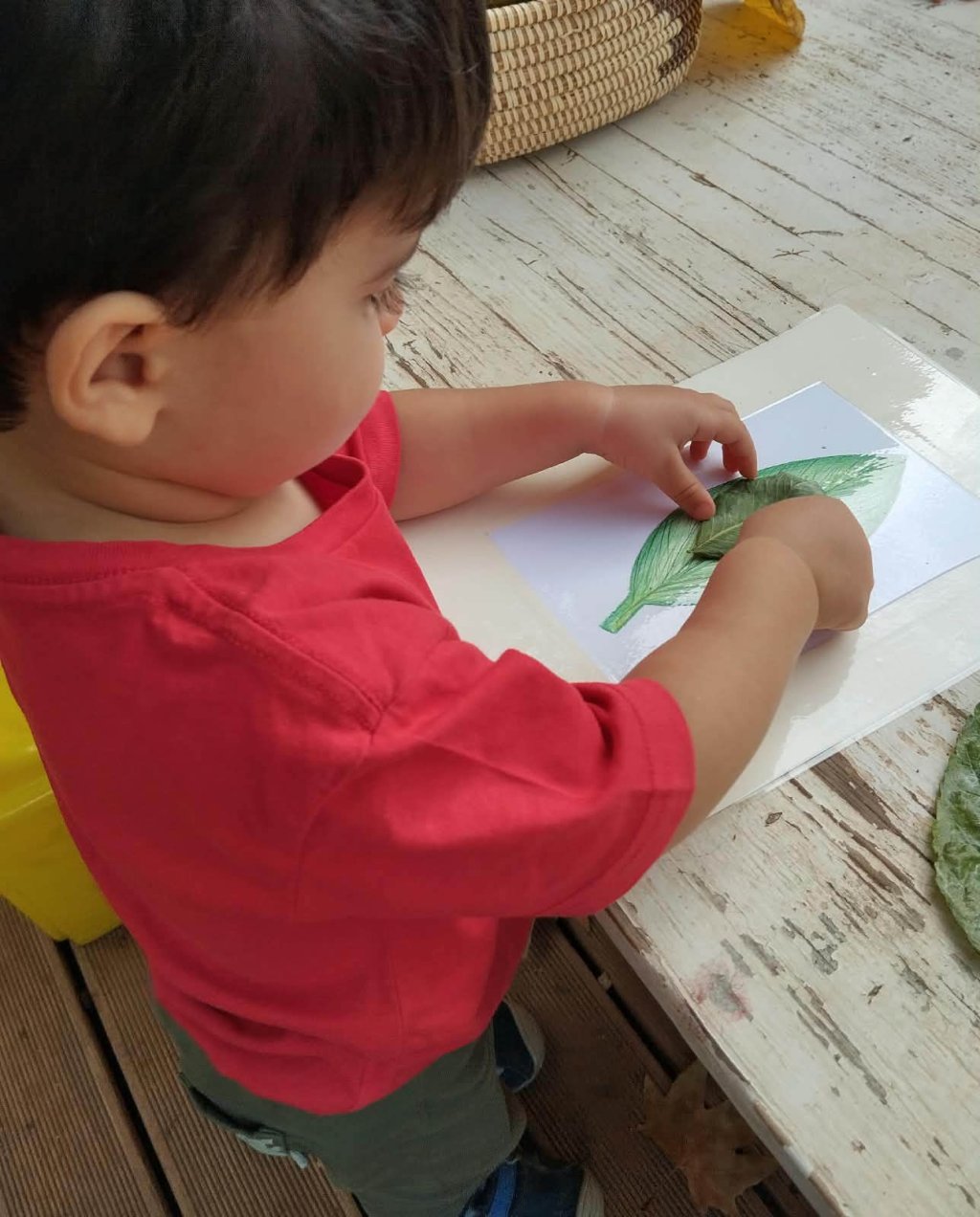 Bambino in maglietta rossa disegna foglie verdi su carta