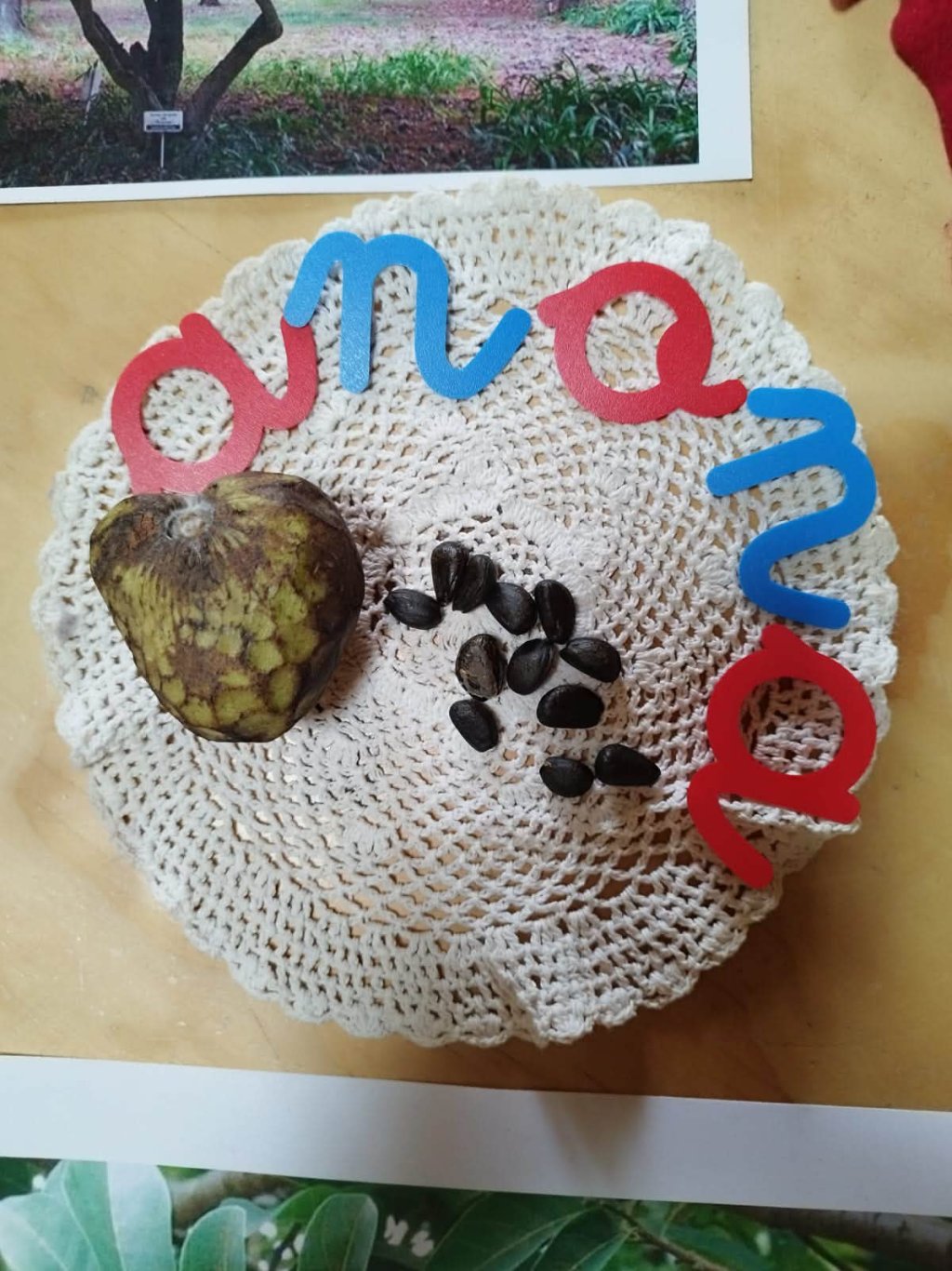 Una frutta matura e semi su un tovagliolo con scritto amaro sopra
