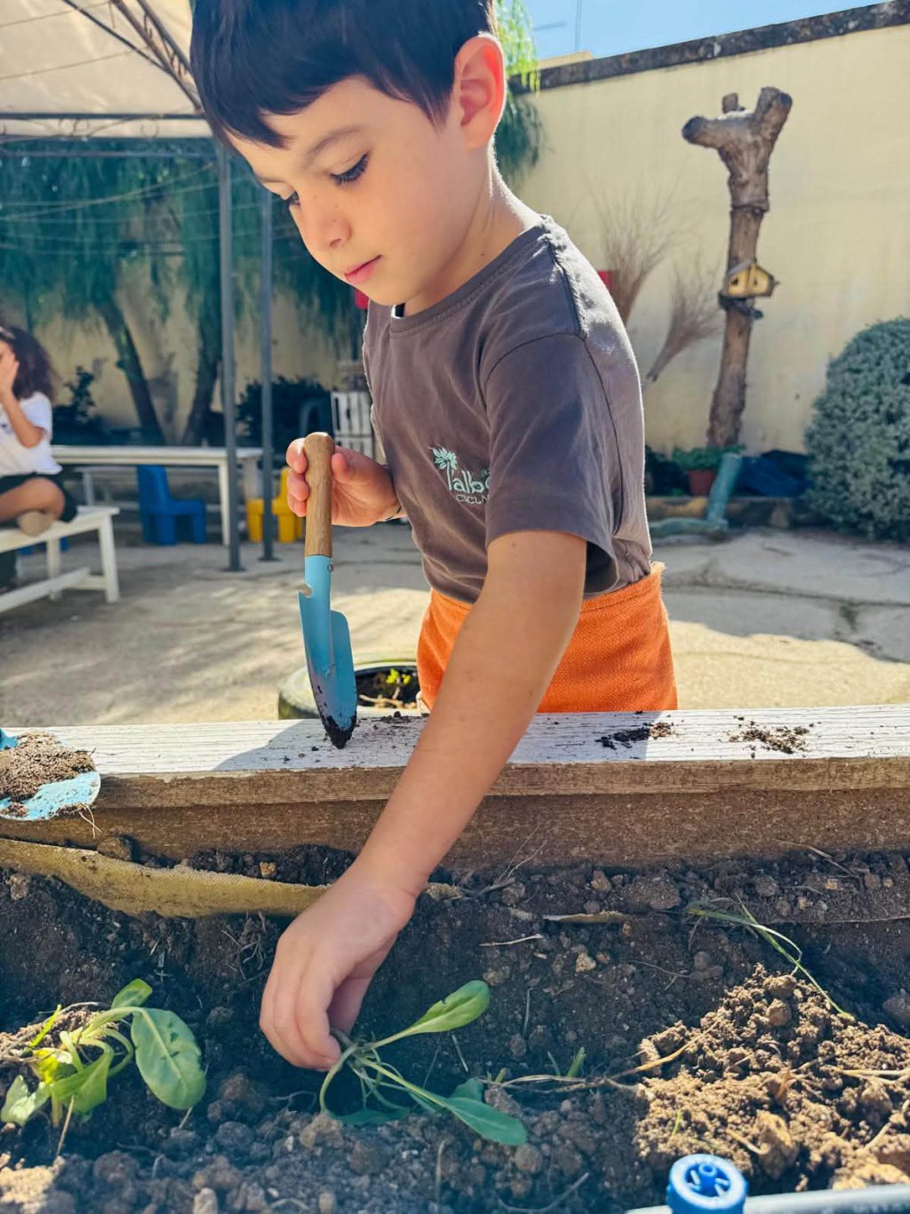 Un bambino pianta una piantina in un letto di fiori con un piccolo badile
