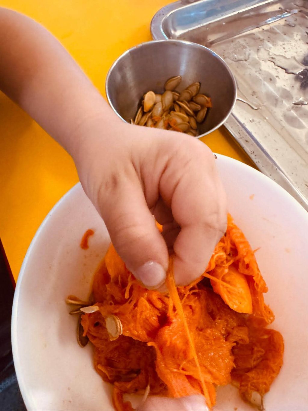Germogli di zucca