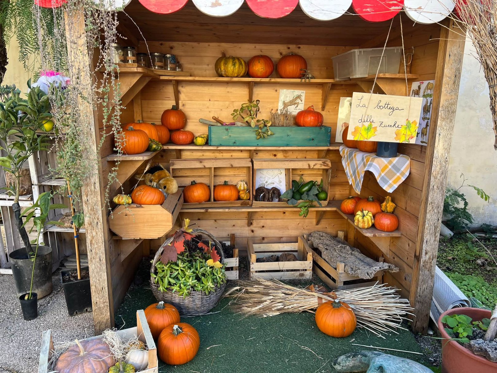 Una zucca tutta da decorare!