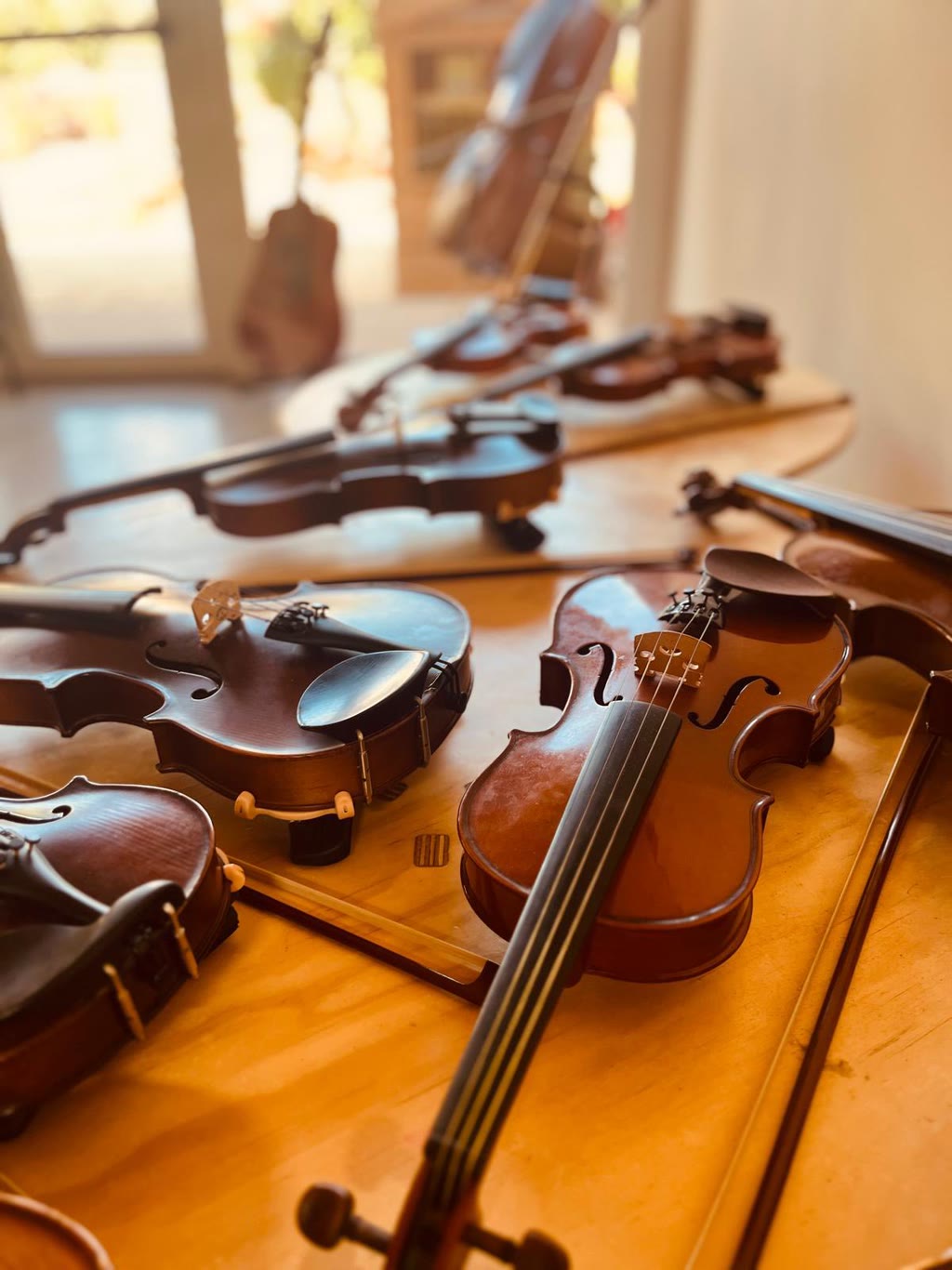 Matinee Musicale: Unire Famiglie e Bambini