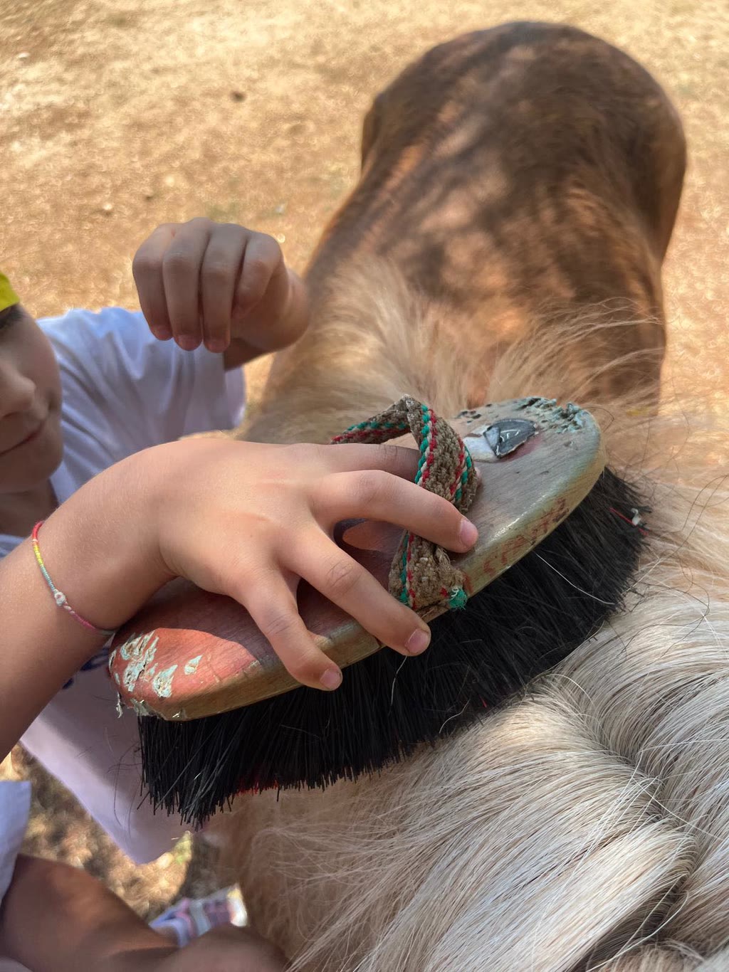Una mano tiene un pennello per pettinare e pulire la pelliccia di un animale