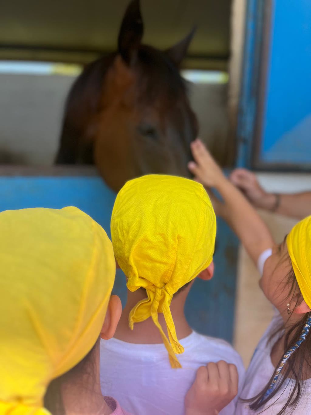 Tre bambini con cappelli gialli guardano un cavallo in una rimessa per cavalli