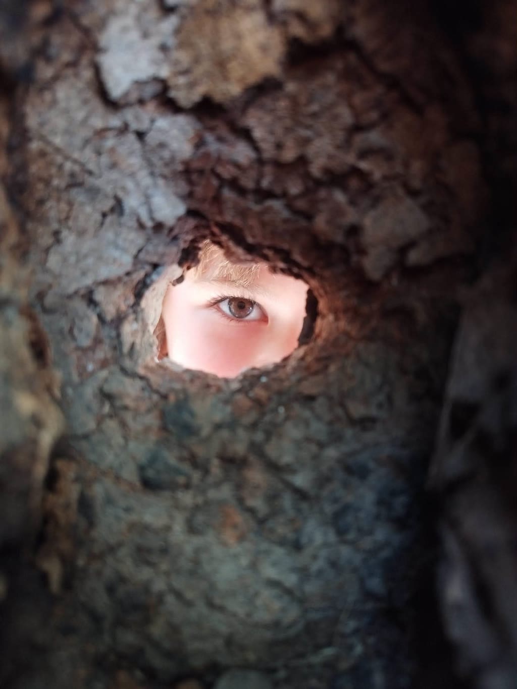 Sguardi