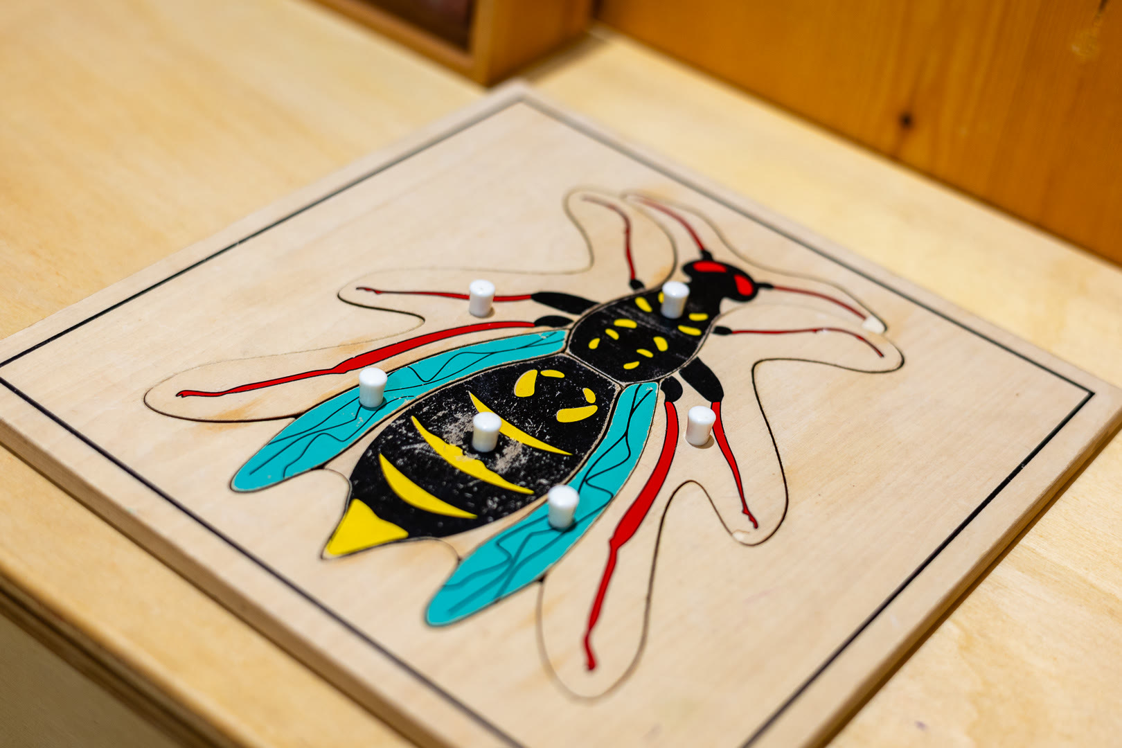 Incastro di legno a forma di ape, con i pomelli bianchi per sfilare i pezzi.