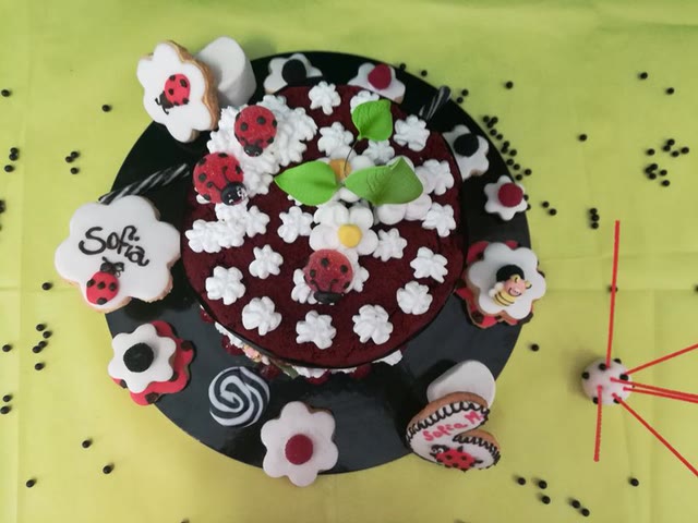 RED VELVET LADYBUG CAKE