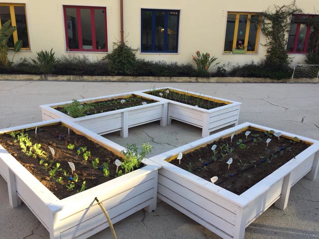 Dalla FARM BOX alla tavola con il contributo della Coldiretti