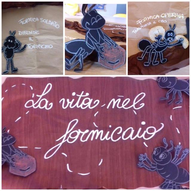 L’approfondimento: focus sul formicaio