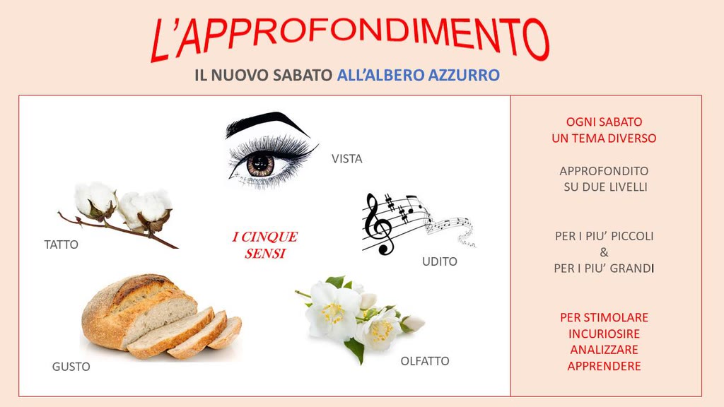 Il nuovo sabato all’Albero Azzurro, anno didattico 2018/2019