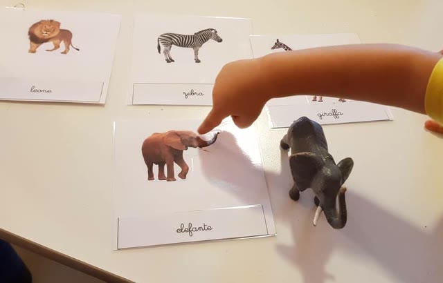 Le carte delle nomenclature