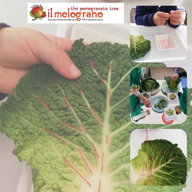 Frutta e verdura invernale