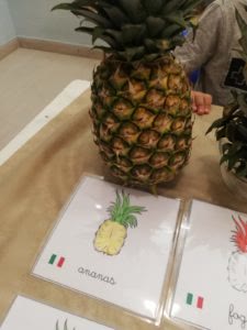 L’Ananas e le sue parti!