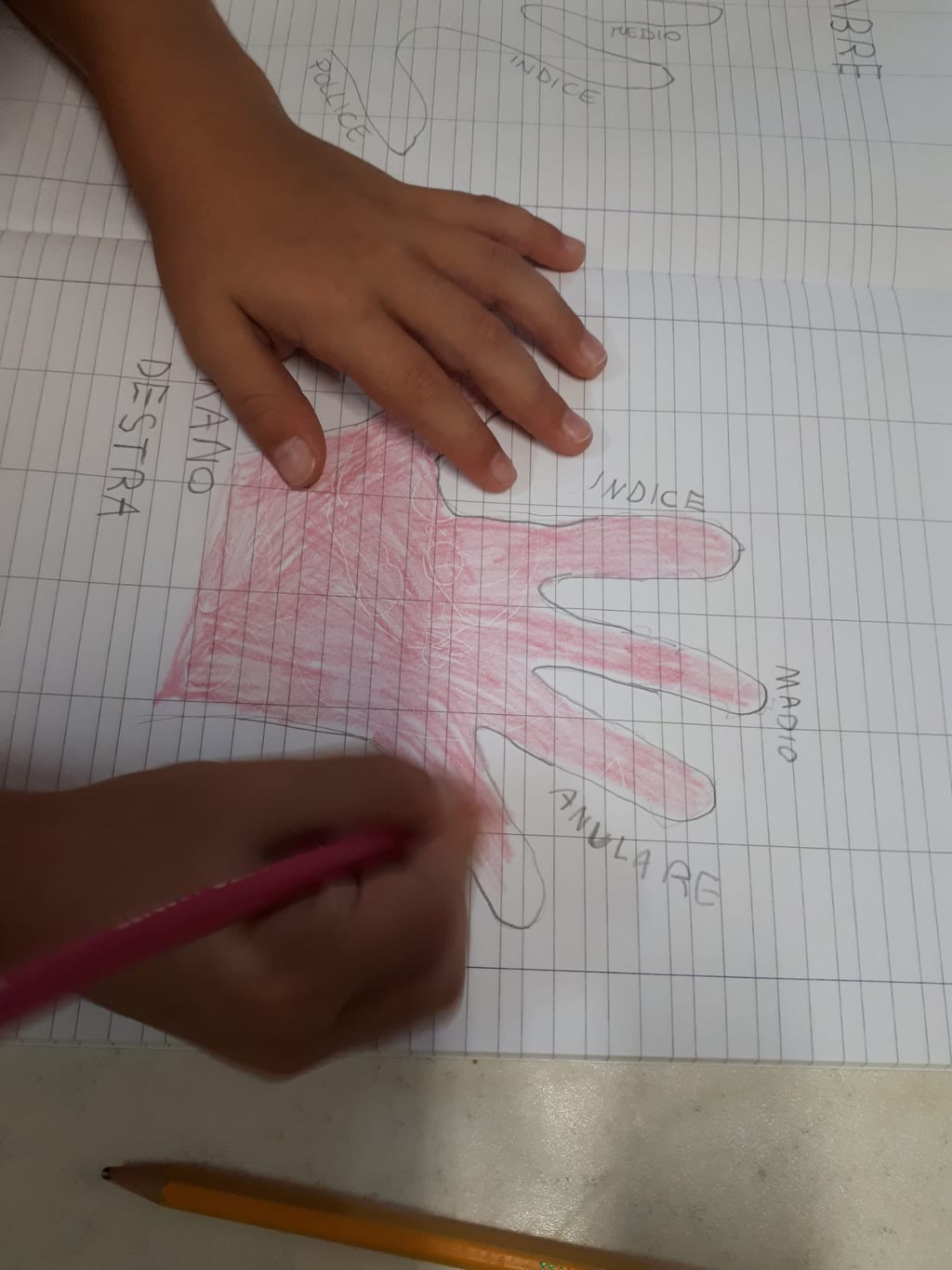 Il doposcuola all’Albero Azzurro