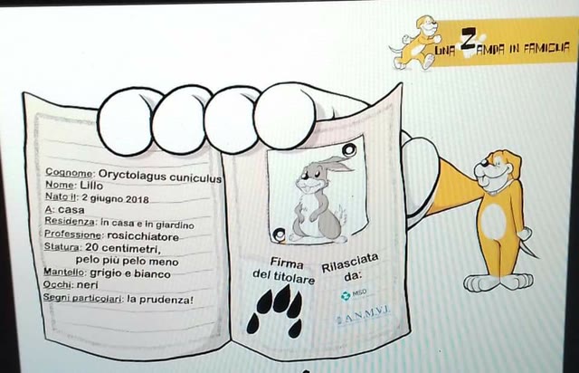 Progetto didattica veterninaria “Una zampa in famiglia”: seconda puntata.