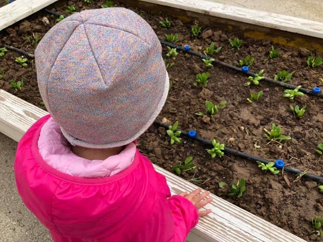 L’orto in vasca: torna la primavera