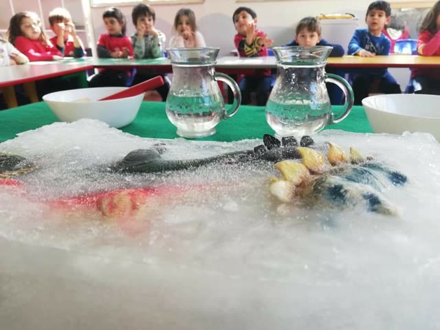 MANIINMENTE SCIENZE: congelare per poi scongelare!