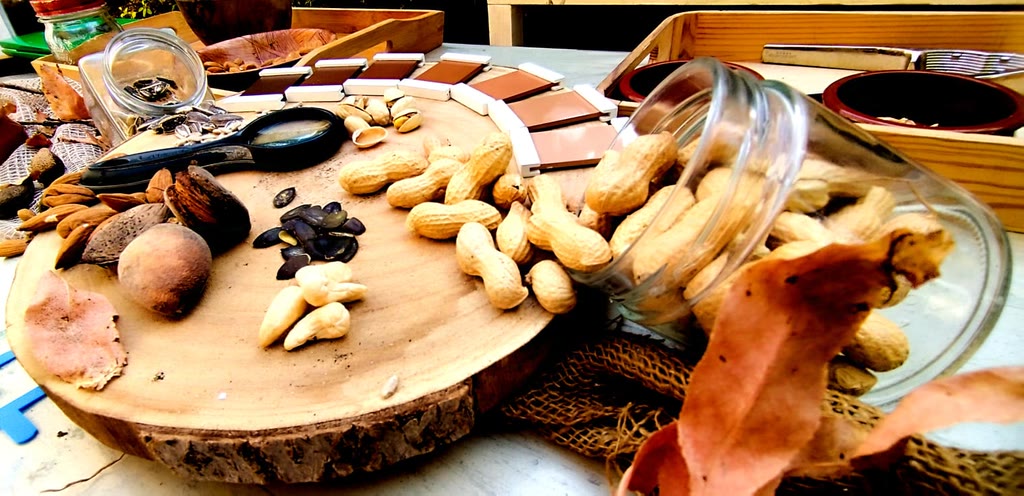 Dal gomitolo… un filo: un nuovo viaggio alla scoperta della frutta secca