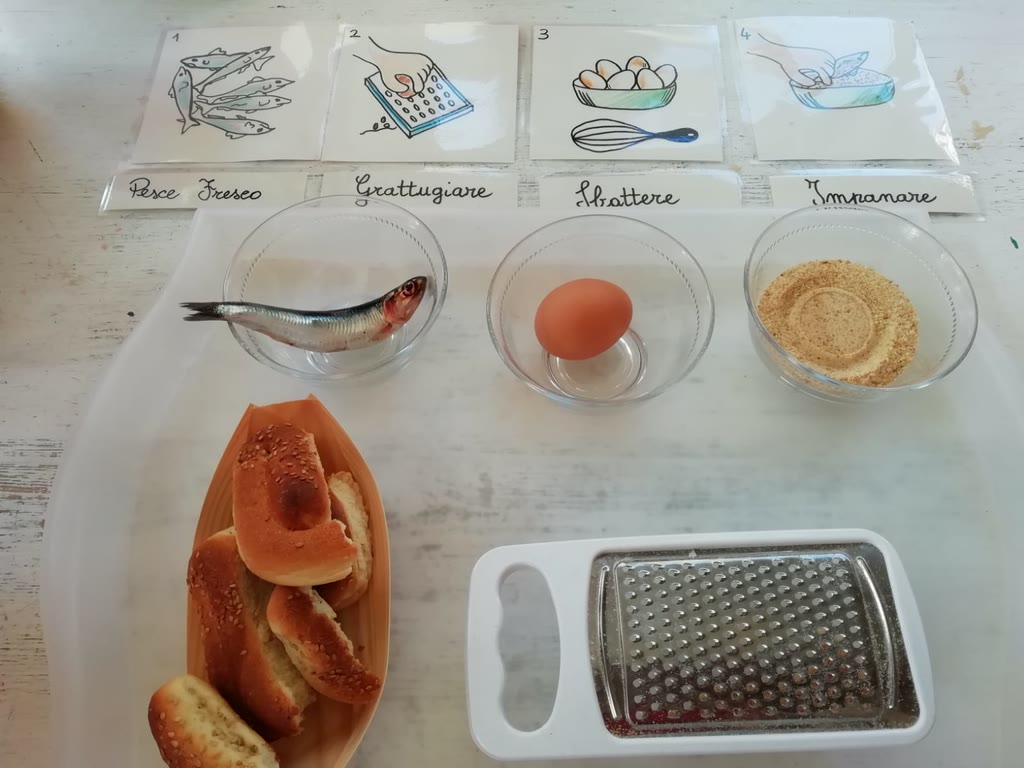 Zoologia e vita pratica