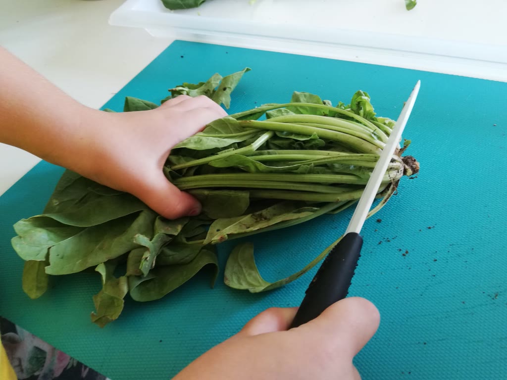 Sfumature di spinaci