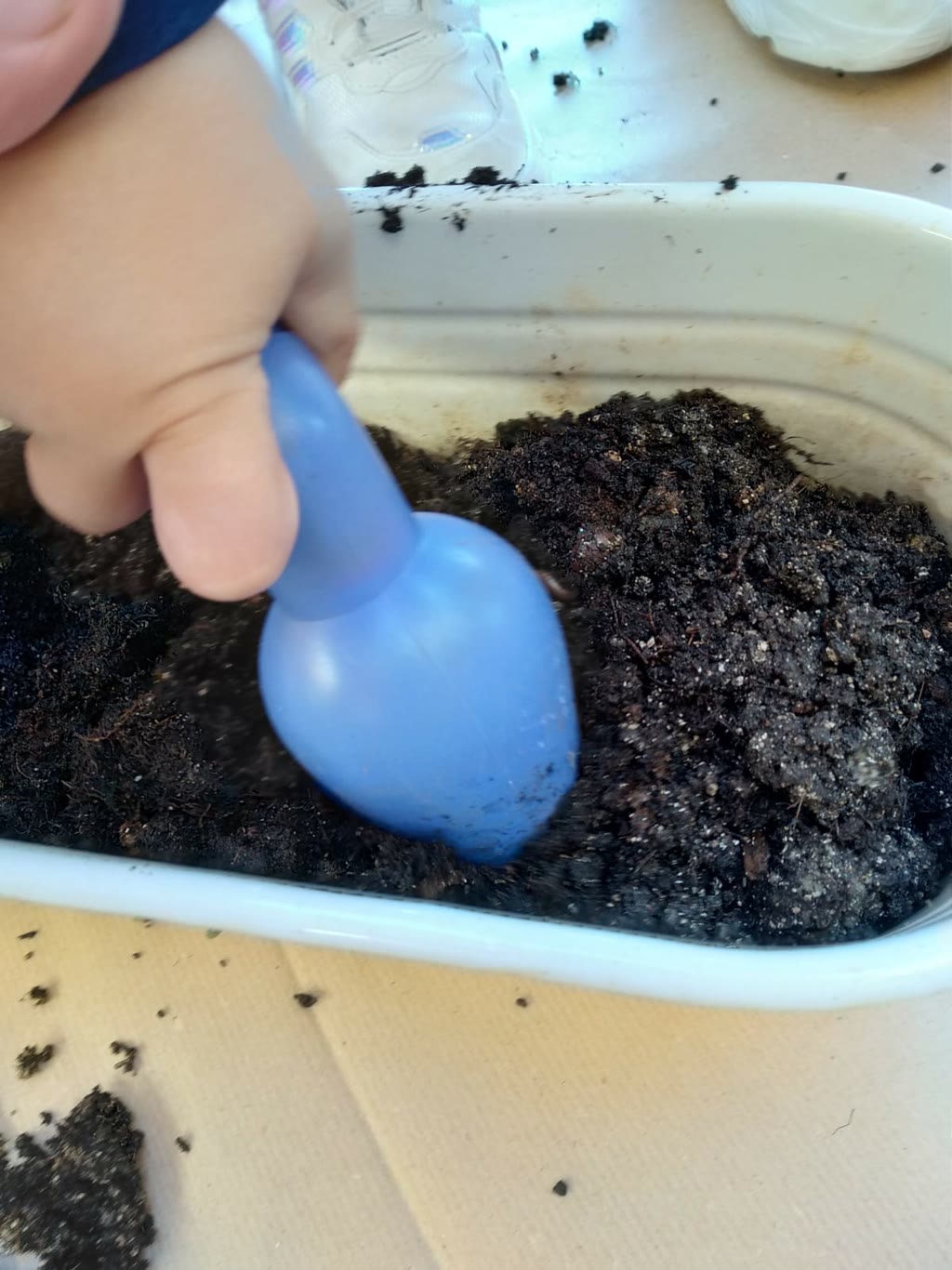 “Dal seme al fiore” : Percorso di botanica al nido!