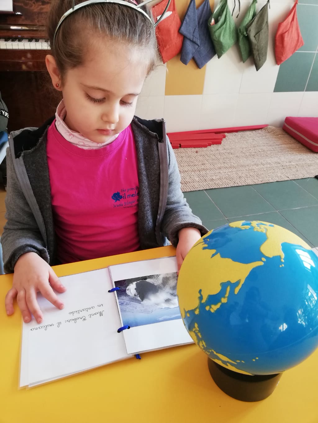 The animals of Antarctica’s booklet 13/26 Gennaio 2020