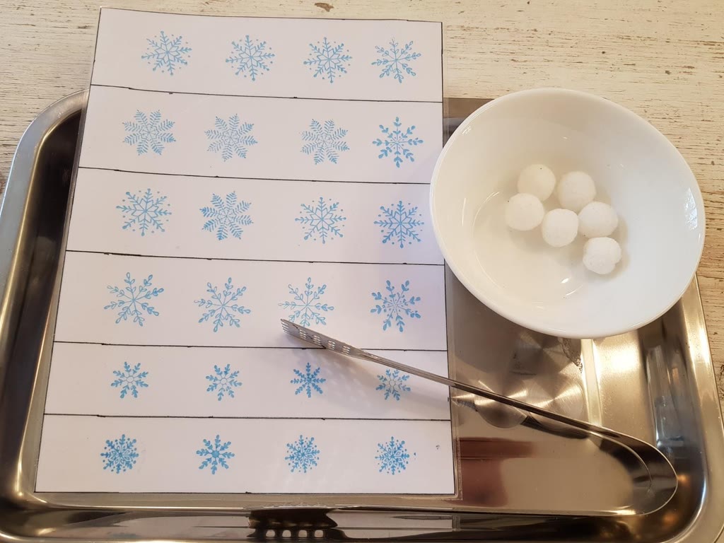 Fiocchi di neve 27/9 Febbraio 229