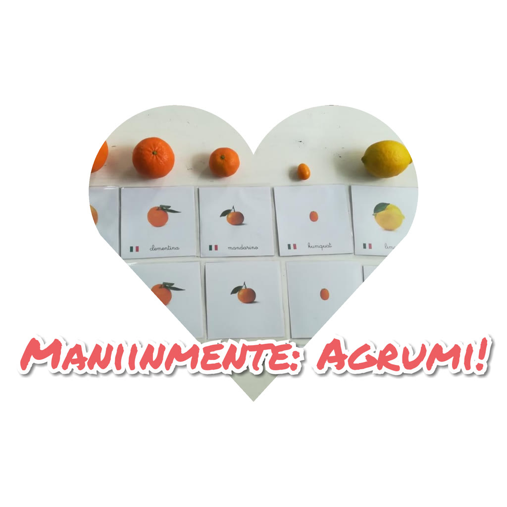 Impariamo i nomi corretti degli #agrumi, classifichiamo, creiamo connessioni ed interazioni grazie alle carte
