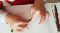 Scopriamo il fagiolino!!