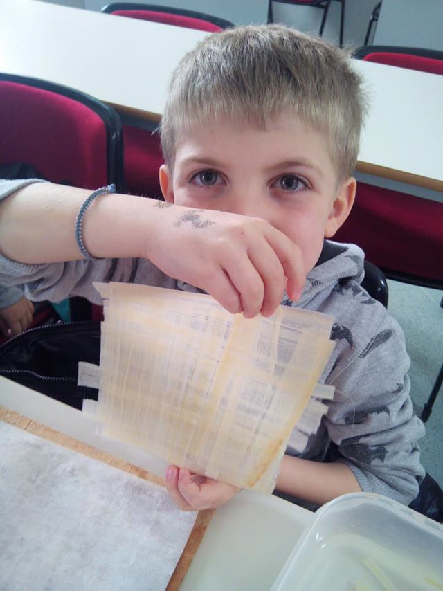 Impariamo a realizzare la carta di papiro!