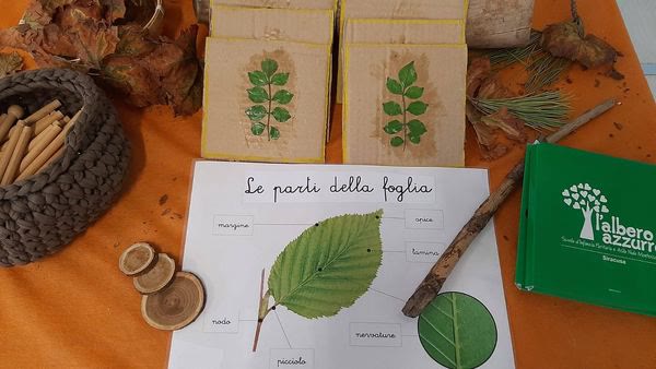 Le parti della foglia – Ambito cosmico