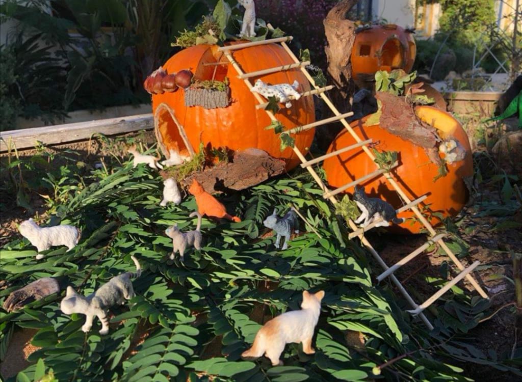 Halloween e i villaggi di zucche