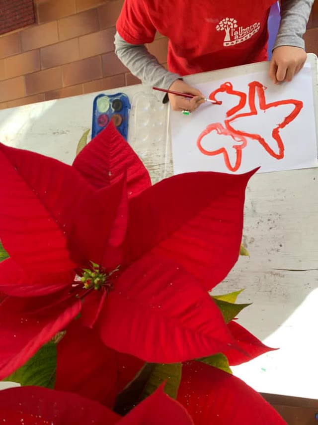 La stella di Natale – Ambito artistico